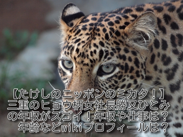 たけしのニッポンのミカタ 三重のヒョウ柄女社長勝又ひとみの年収がスゴイ 年収や仕事は 年齢などwikiは